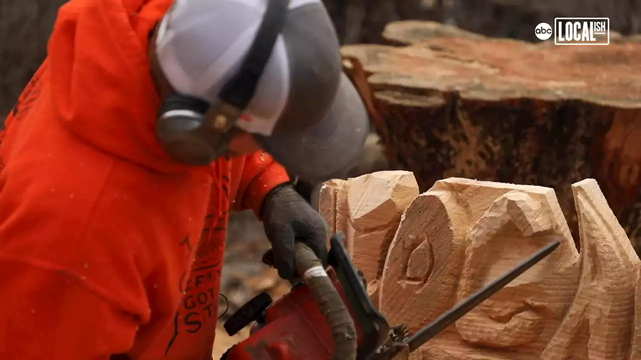 Chainsaw Carver makes wood come to life again