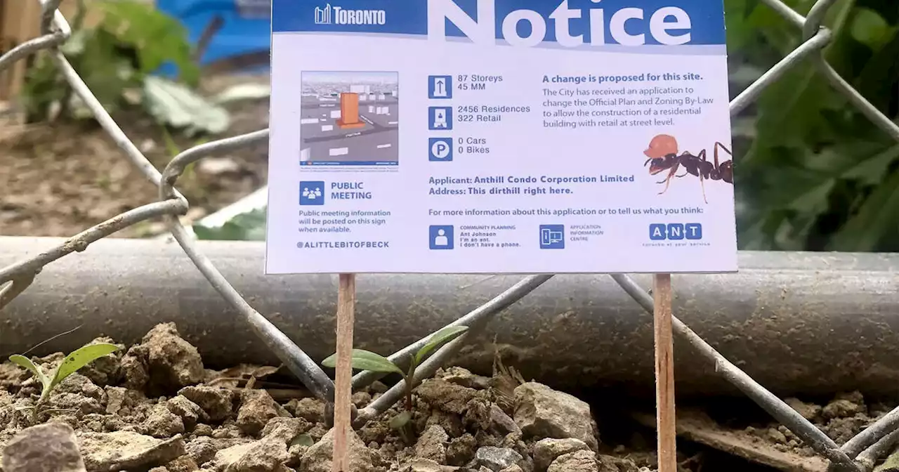 Someone posted tiny development notices for ants to troll Toronto's condo craze