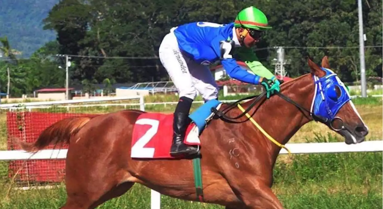 Tell Bell rules Philracom 2023 3YO Maiden Stakes | BusinessMirror