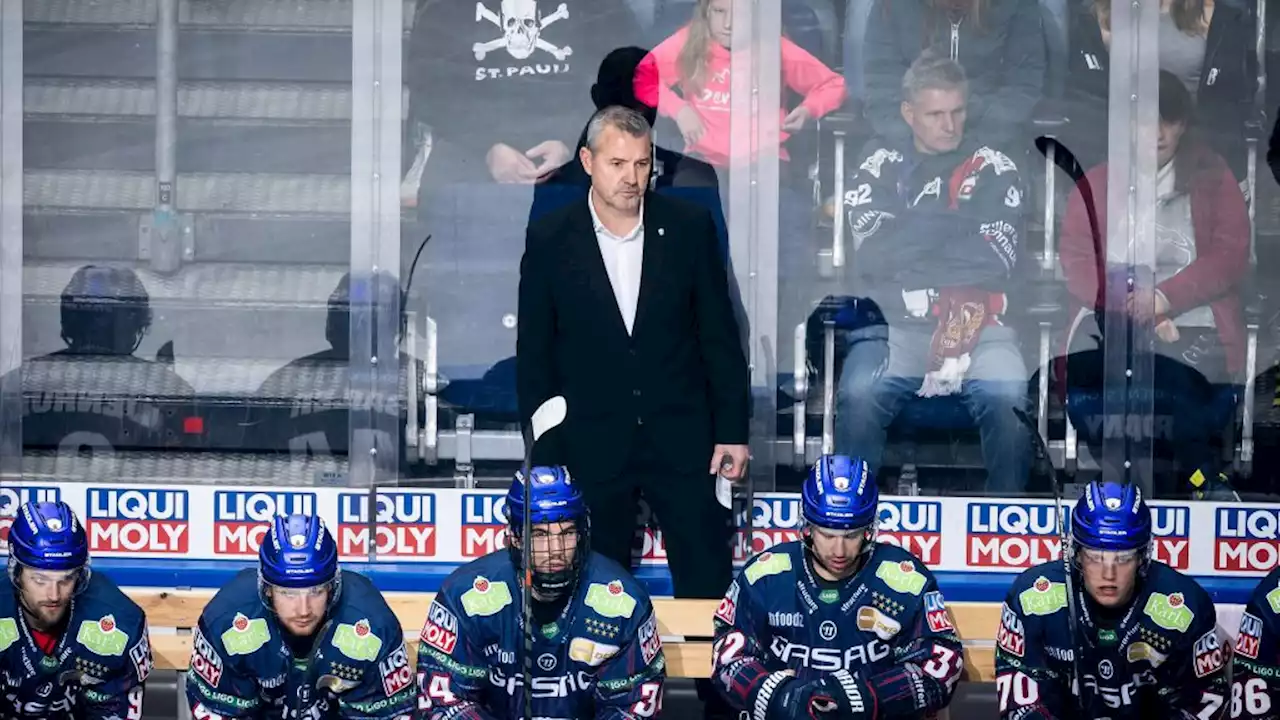 Eisbären: Pflichtsieg der die nächste Enttäuschung?