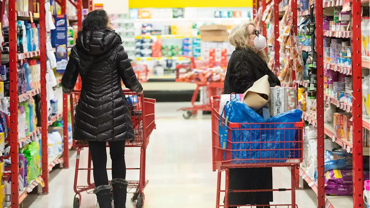 MPs summon big grocery store CEOs to testify in Ottawa over food inflation