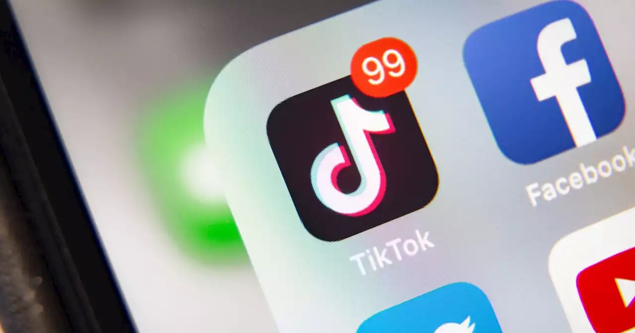 Chinese government role could determine TikTok-White House negotiations: Report