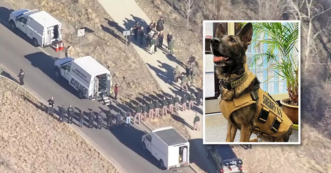 Police: Armed suspect on Colorado School of Mines campus allegedly killed K-9