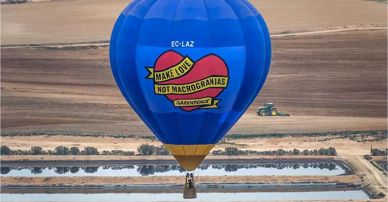 Haz el amor y no las macrogranjas: la protesta aérea de Greenpeace en San Valentín