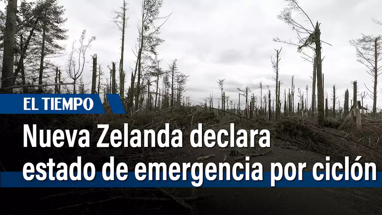 Temblor en Nueva Zelanda: sismo de 6,1 sacude las islas