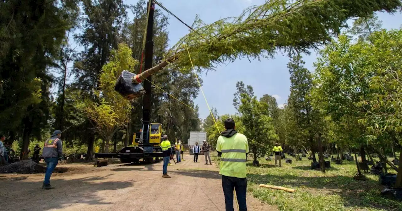 Otorgan amparo que detiene construcción de cuartel de la GN en Xochimilco