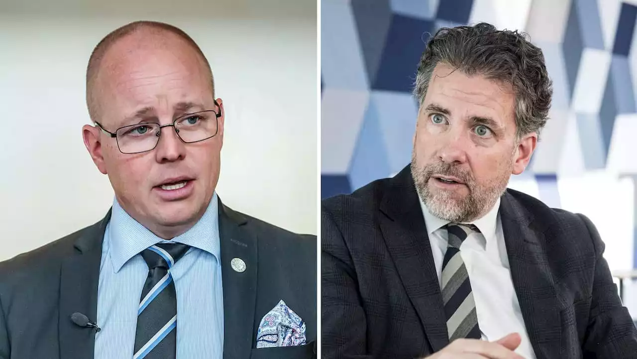 SD-hånet mot petade Ribbenvik: ”Aktivister”