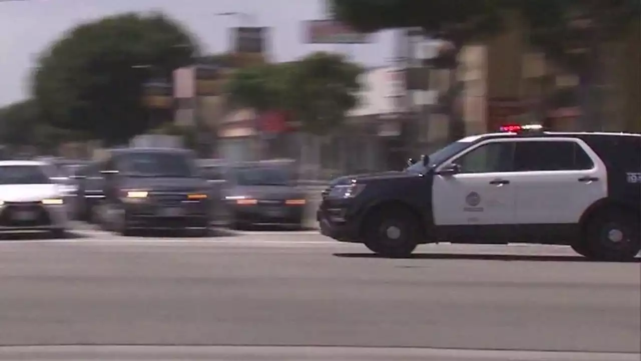 Los Angeles announces unarmed alternative to policing