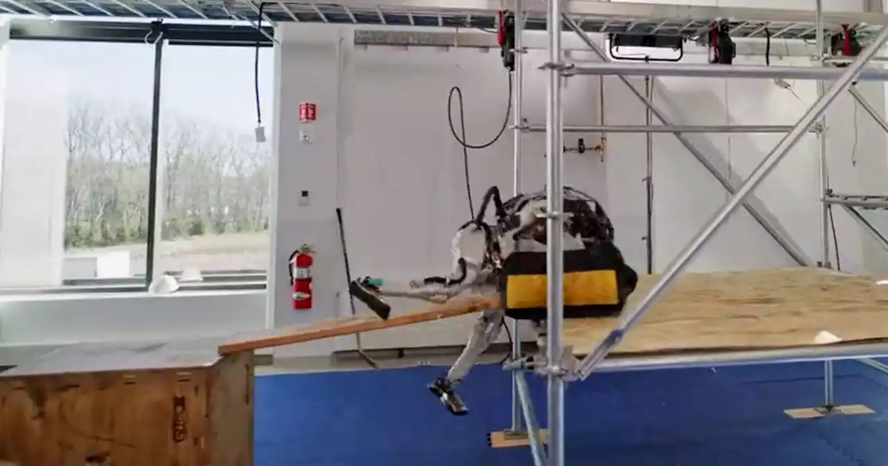 Hilarious Video Shows Boston Dynamics Robot Failing Horribly