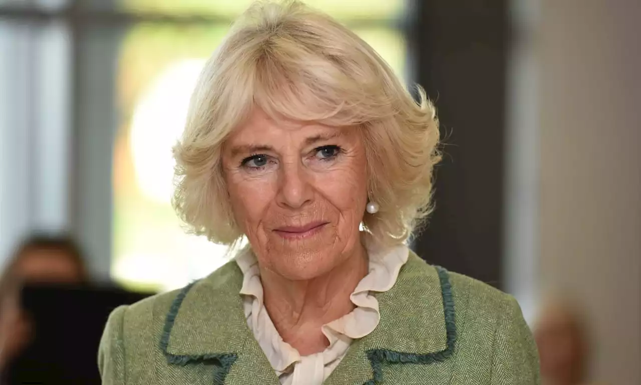 Queen Camilla: Confusion amongst royal fans over her illness announcement