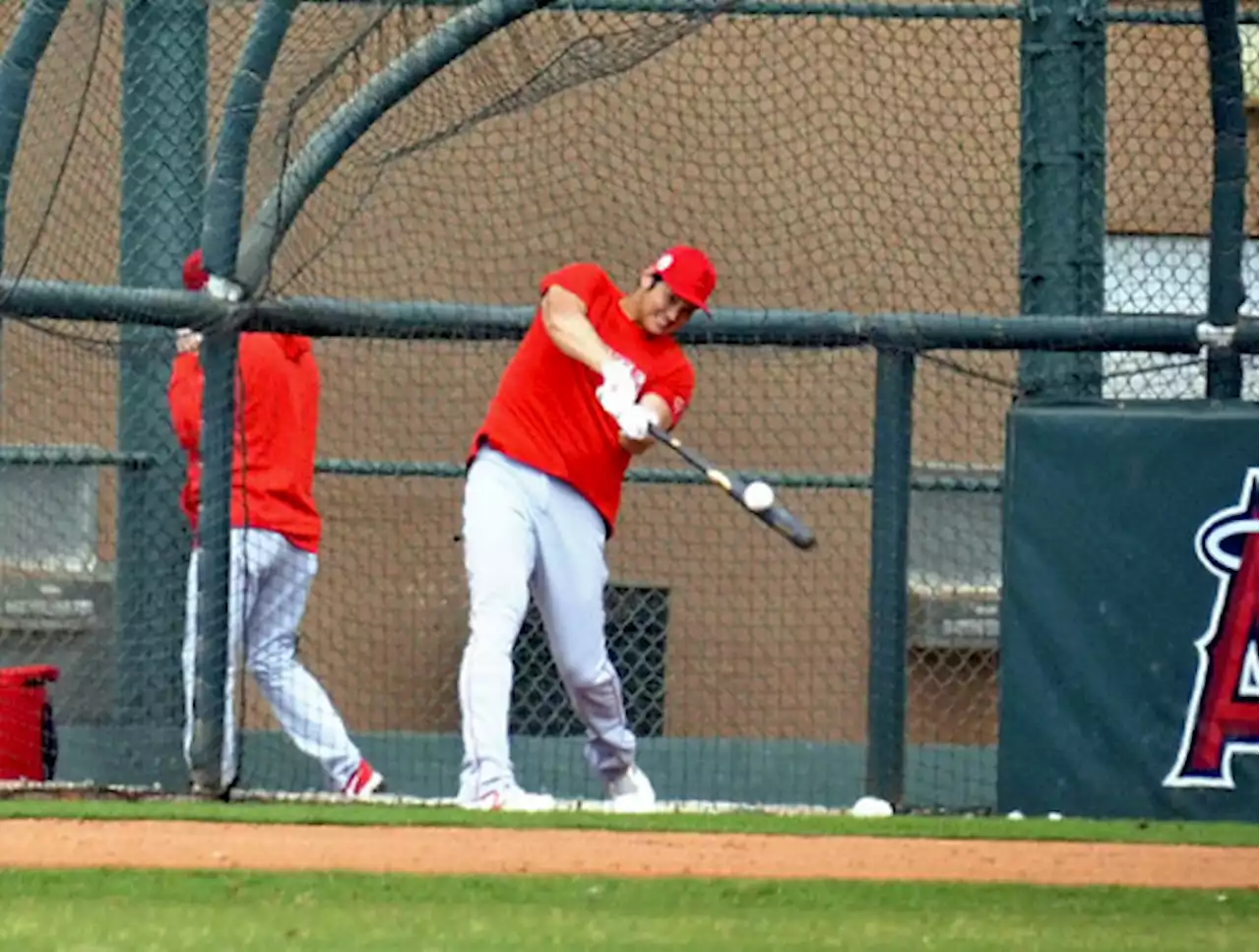 大谷翔平、フリー打撃で柵越え連発…ＷＢＣへエンゼルス施設で調整 - トピックス｜Infoseekニュース