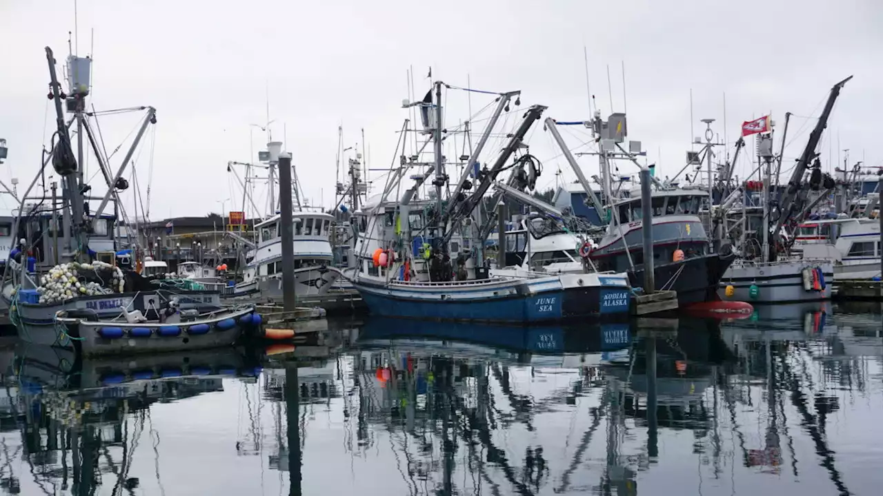 Amputations, broken bones among the injuries caused by winches on fishing boats