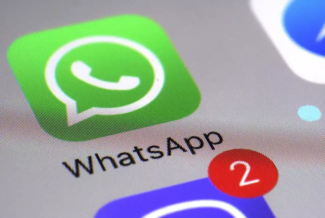 WhatsApp: cómo es el “modo San Valentín” que se podrá configurar este 14 de febrero