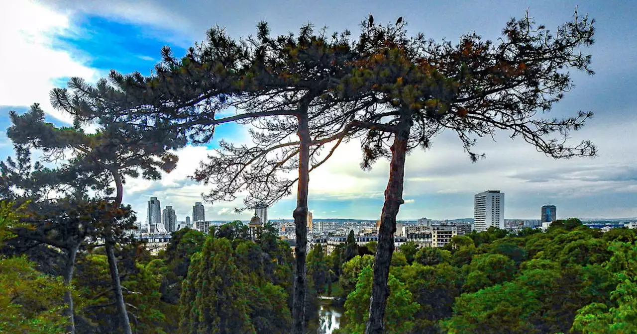 De nouveaux restes du corps d’une femme retrouvés au parc des Buttes-Chaumont, à Paris