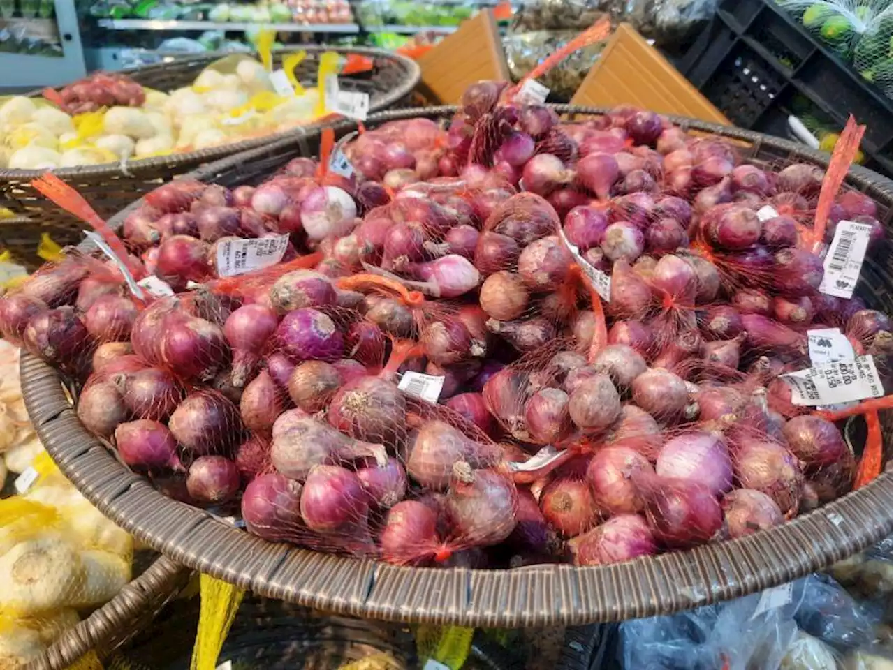 Importation 'modus' for onions revealed in House inquiry