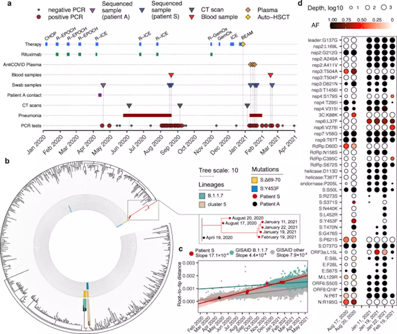 SARS-CoV-2 escape from cytotoxic T cells during long-term COVID-19 - Nature Communications