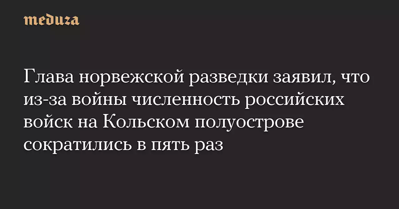 Глава норвежской разведки заявил, что из-за войны численность российских войск на Кольском полуострове сократились в пять раз — Meduza