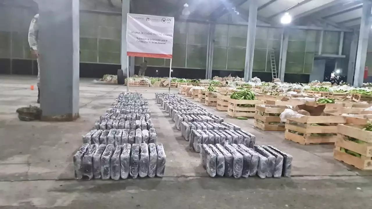 Detectan 270 kilos de cocaína en cargamento de plátanos en Chiapas