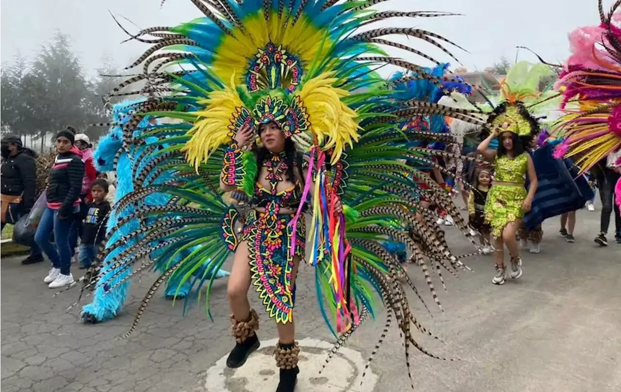 Destinan un millón 800 mil pesos para carnavales en Hidalgo