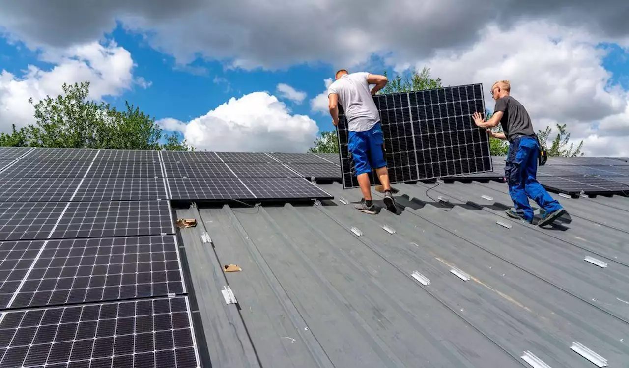 Solarpflicht & Co.: Jetzt kommt der Zwang zum Klimaschutz in Hamburg