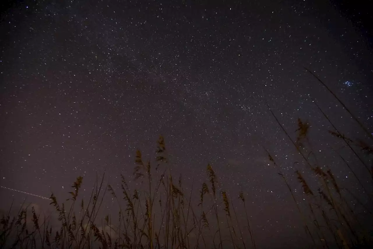 Are we alone in the universe? You’re not alone if you want to find out! | Science Mission Directorate