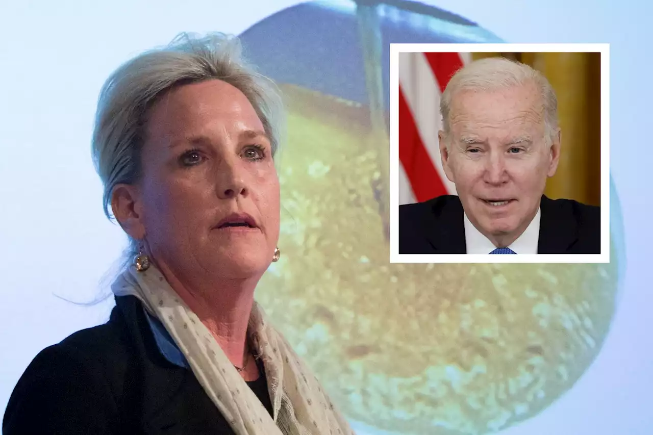 Erin Brockovich demands Joe Biden 'step up now' on Ohio train derailment