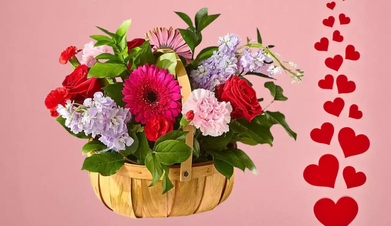 Where to order Valentine's Day flowers online with same-day delivery