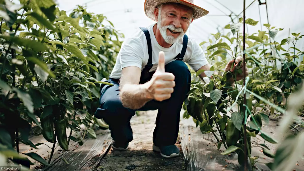 Retraite des agriculteurs: pourquoi elle va s'améliorer