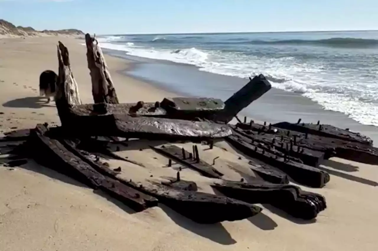 Remains of 1884 shipwreck discovered on Massachusetts beach