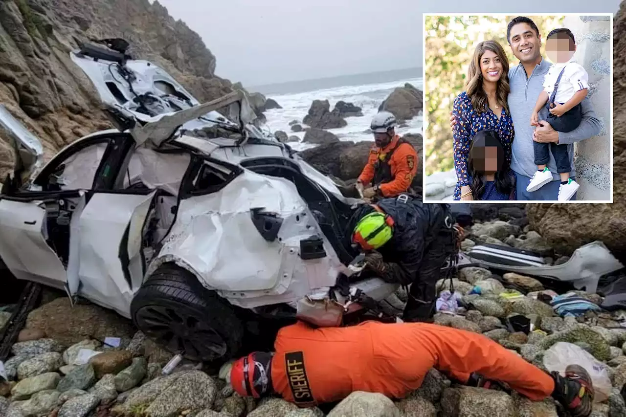 Wife of doctor who drove family off cliff in Tesla urges prosecutors not to try him