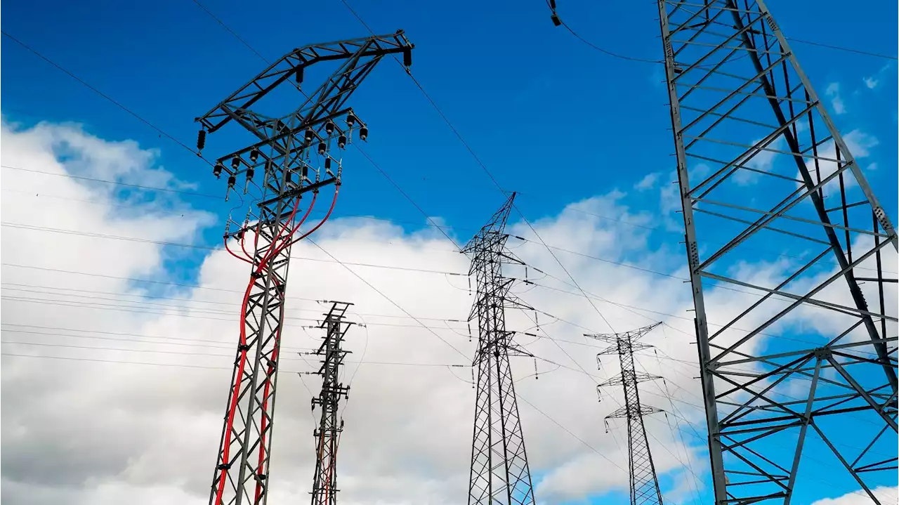 Precio luz, miércoles 15 de febrero: cuál es la hora más barata