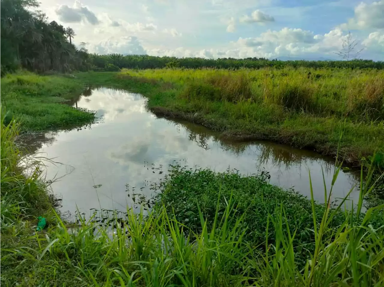 Boy drowns in Kota Marudu ditch