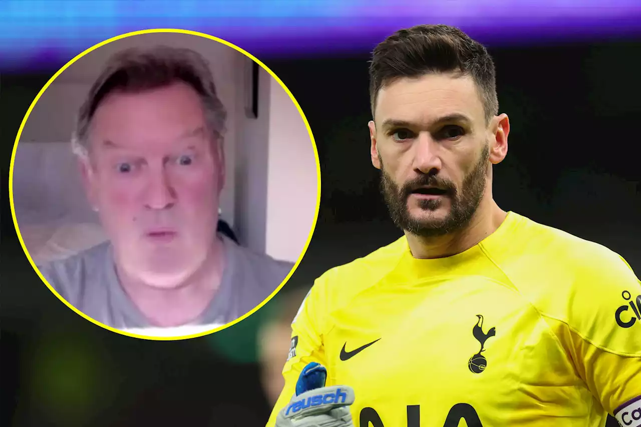 Glenn Hoddle's reaction to Hugo Lloris injury sums up how every Spurs fan was feeling