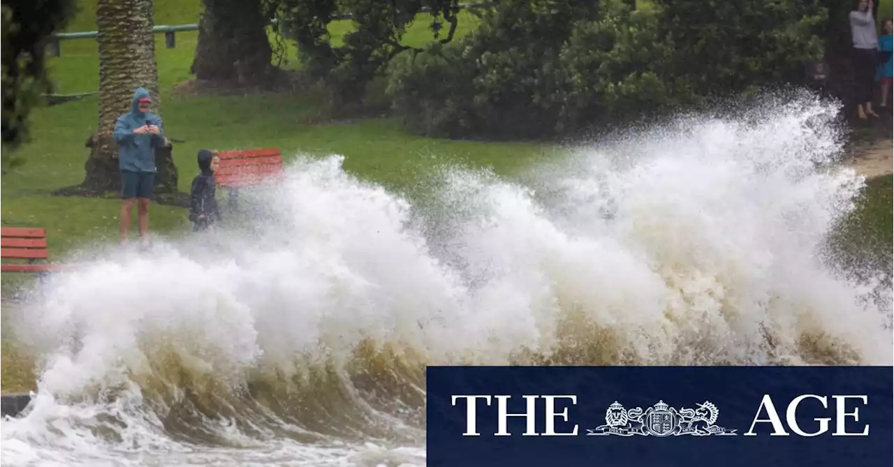 Cyclone Gabrielle pushes New Zealand into state of emergency