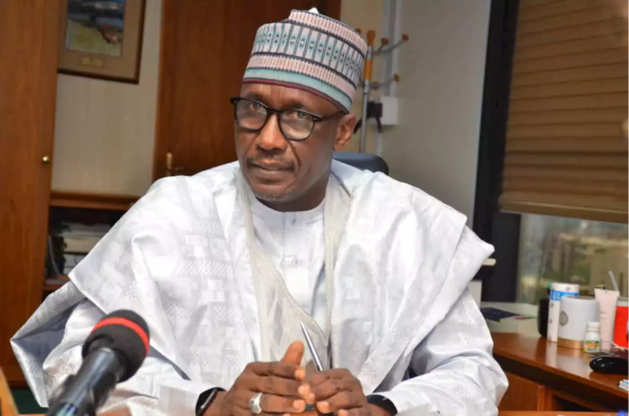 Kyari: Energy demand to increase by 35% in 2043 | Africa must collaborate to aid transition | TheCable