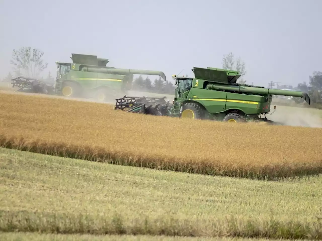 CHARLEBOIS: Farmland is getting expensive, and that's not necessarily a bad thing.