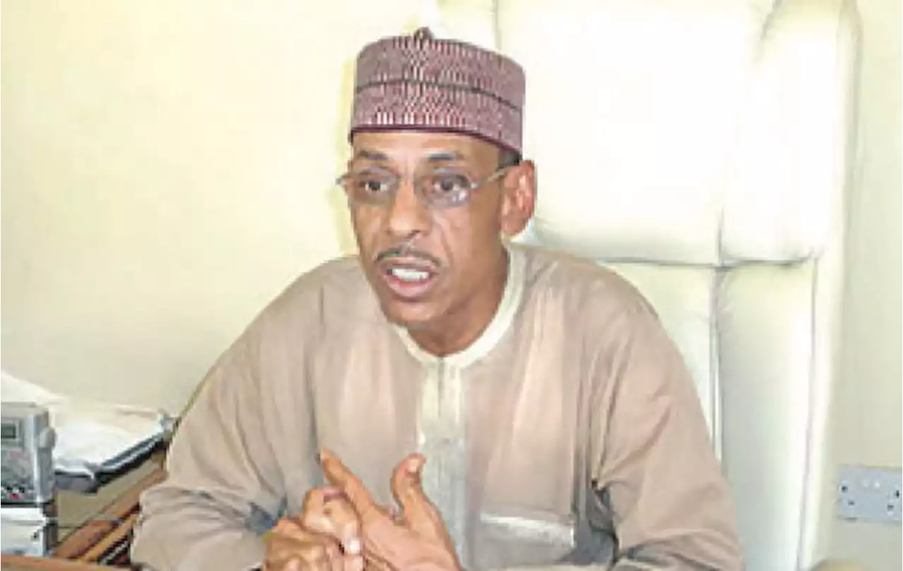 NEF to Buhari: Assert Your Authority, Don’t Allow IPOB Intimidate, Prevent Nigerians from Voting – THISDAYLIVE