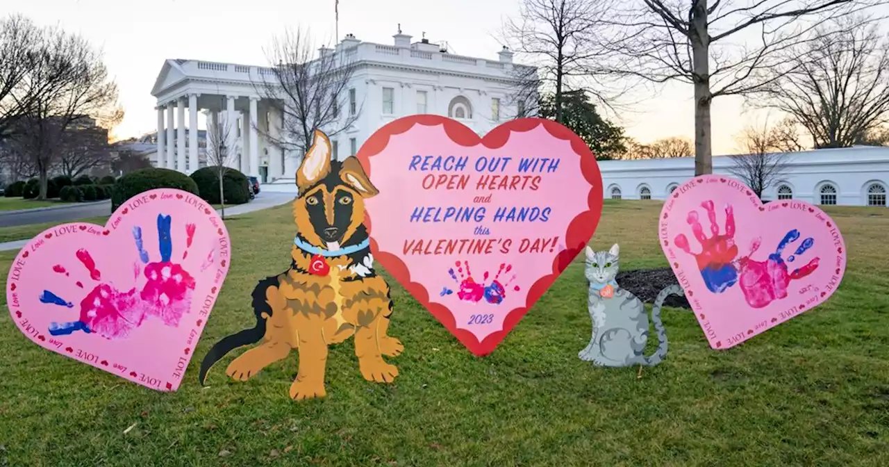 Jill Biden incorporates first pets into White House Valentine’s Day installation