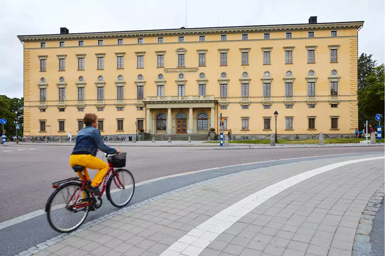 Kvinnors högskoleår betalar sig allt bättre