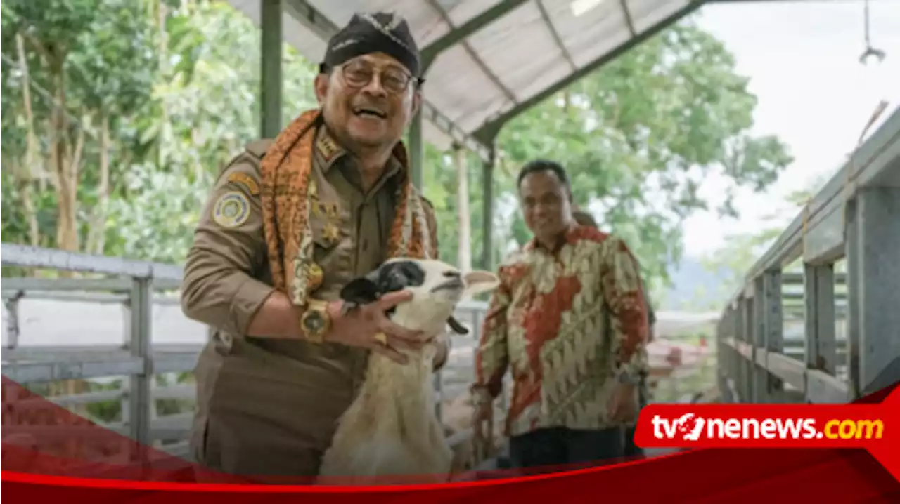 Mentan SYL Dorong Produksi Kambing dan Domba Kulon Progo Banjiri Kebutuhan Nasional