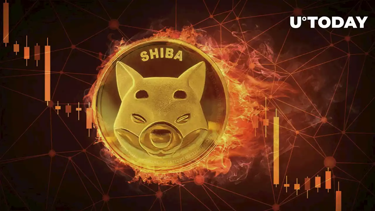 SHIB Burn Rate Sinks as Shiba Inu Price Continues to Stay in Red