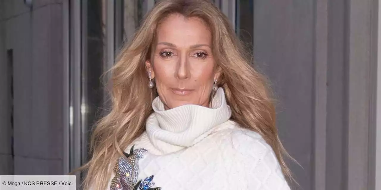 Céline Dion : ce cadeau fait à ses fans pour la Saint-Valentin - Voici