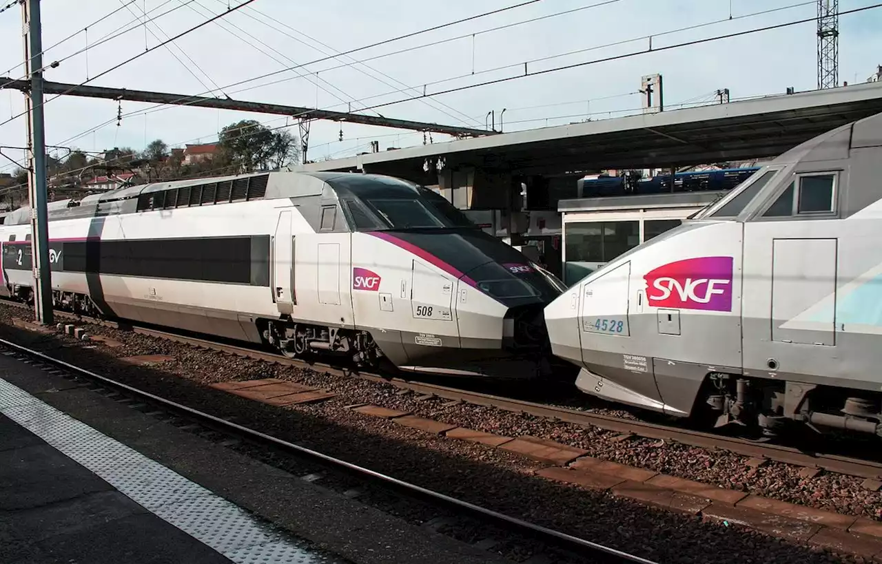 De peur que son TGV arrive en retard, il ouvre lui-même un colis suspect