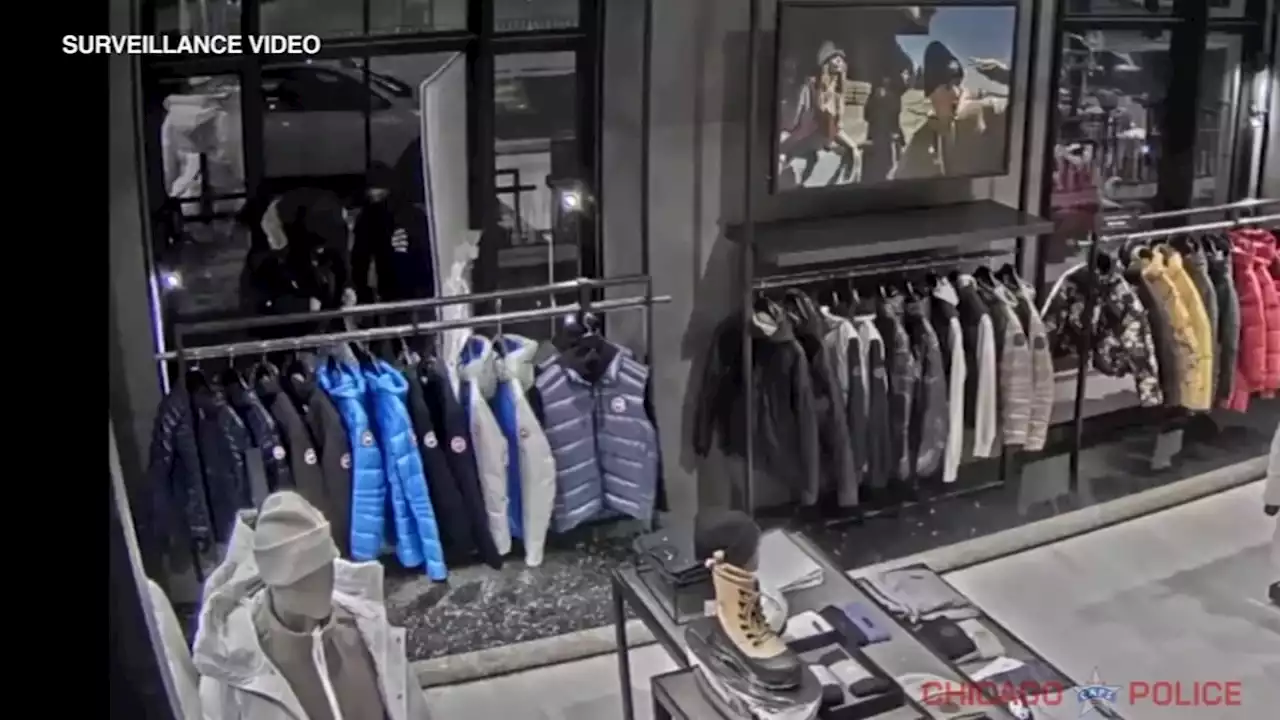 Video shows smash-and-grab burglary at Canada Goose store on Magnificent Mile: Chicago police