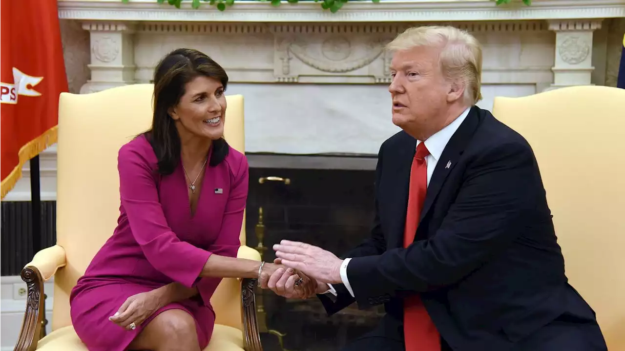 Trump pulls his punches on Nikki Haley