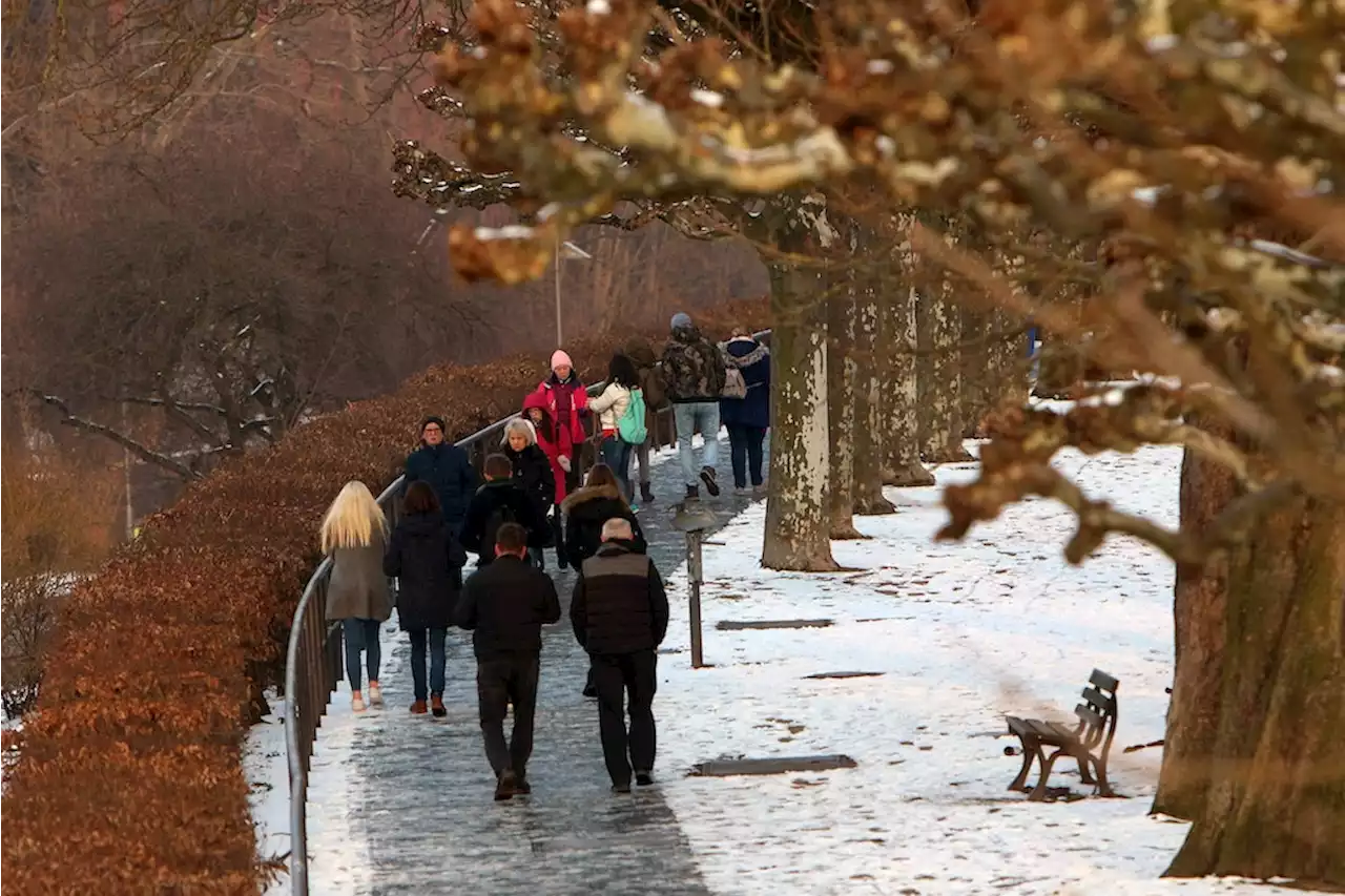 Schwere Erdbeben in Rumänien, Menschen in Deutschland schlafen im Freien