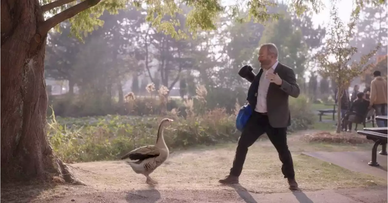 Lucky Hank Trailer: Even Geese Don't Like Odenkirk's Prof. Devereaux