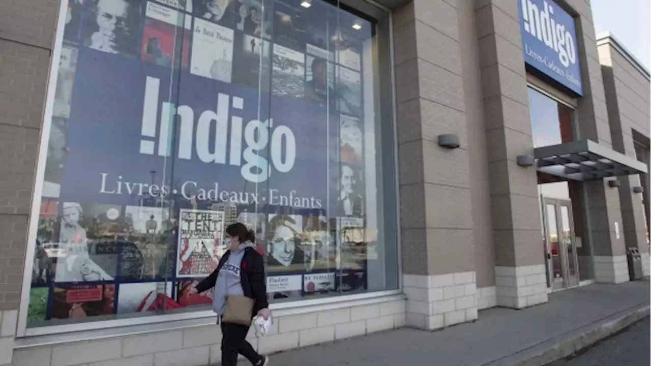 Credit, debit info and Plum points not compromised in cybersecurity incident: Indigo - BNN Bloomberg