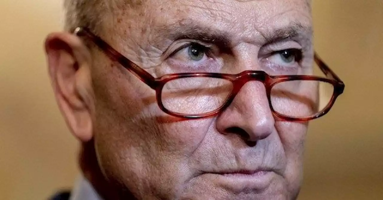 Schumer Dismisses Polls Showing Voters Don't Want 2024 Biden Run – Can’t Believe Polling