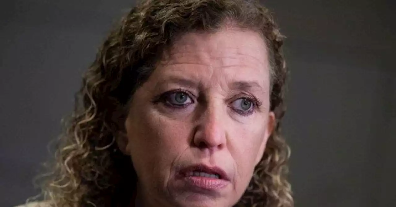 Wasserman Schultz: DeSantis 'Declared War on Wall Street' with anti-ESG Push